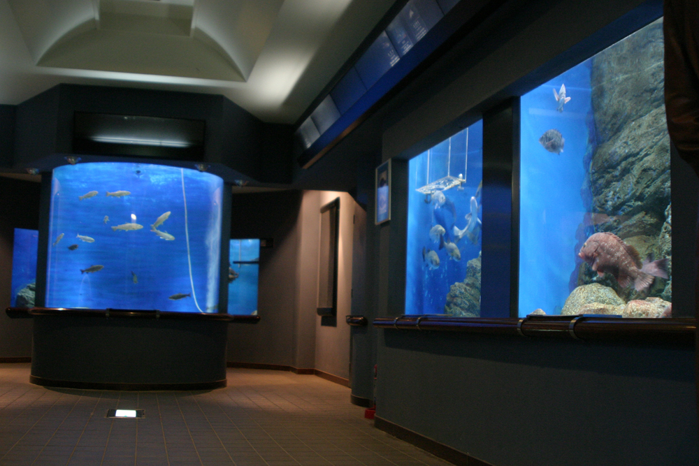 渋川マリン水族館