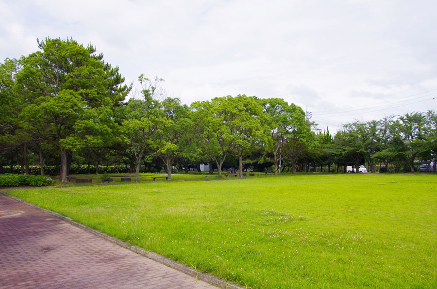 糸根地区公園